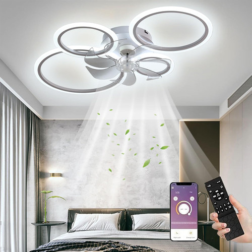 Ventilatore soffitto con - ventilatore,