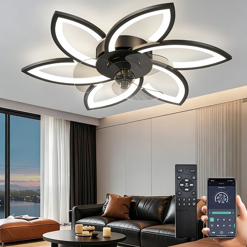 Entilatore soffitto - entilatore,
